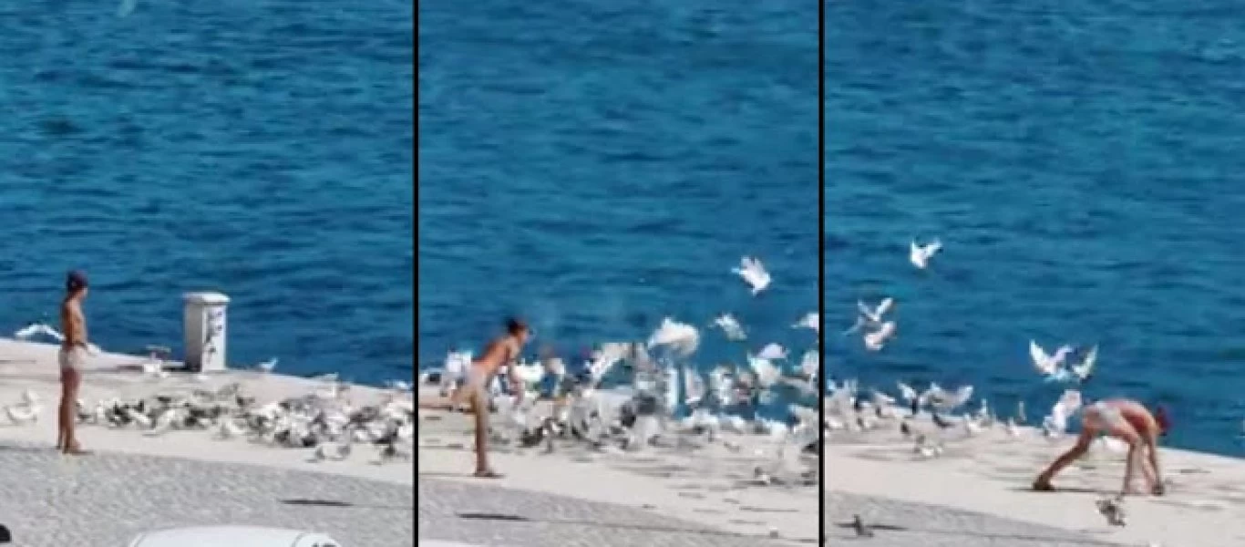 Ανατριχιαστικό συμβάν στη Σάμο: Ανήλικος παράνομος μετανάστης σκοτώνει περιστέρι με πέτρα για να το φάει (βίντεο)